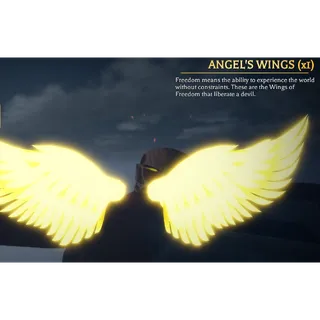 Angel Wing AOTR