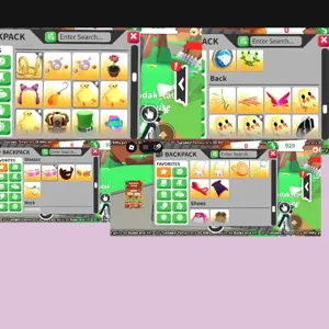 Starter Pet Wear