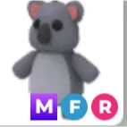 MFR Koala