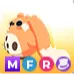 Mega Fr Cabbit
