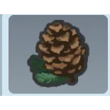 Pinecone beequip cheapest