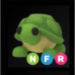 NFR Turtle