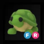 FR Turtle