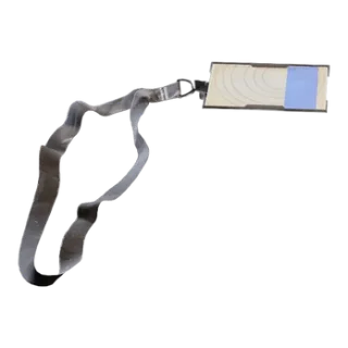 Blue Gate Cellar Key - ARC Raiders