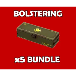 x5 Bolstering Legendary Mod Bundle