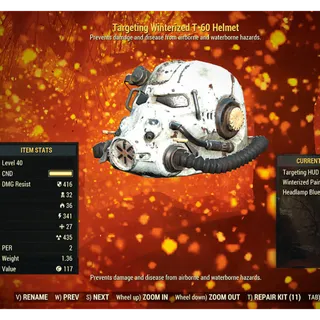Unyielding Sentinel Winterized T-60