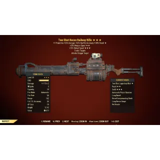 Two Shot Railway Rifle TS/25/15r