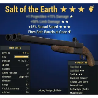 Salt of the Earth shotgun random/15r