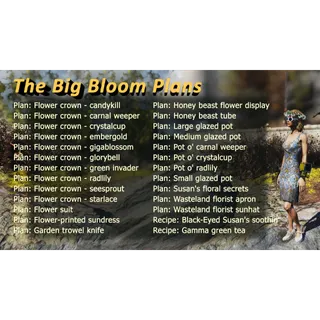The Big Bloom Plans 26in1 bundle