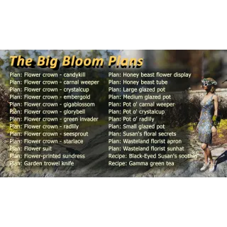 The Big Bloom Plans 26in1 bundle