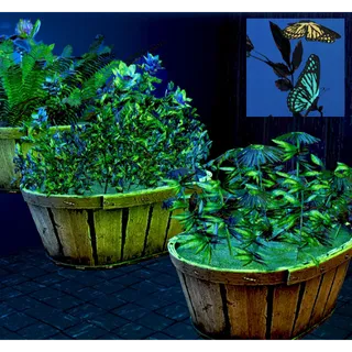 All 10 Flower Box Plans