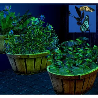 All 10 Flower Box Plans
