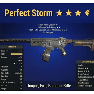Perfect Storm Fire Damage 10mm Smg