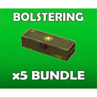 x5 Bolstering Legendary Mod Bundle