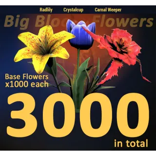Big Bloom Flower Bundle