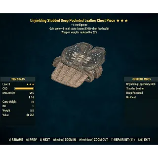 Level 1 Leather Armor (Uny/Int/WWR)