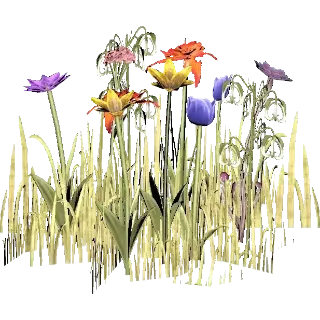 Susan's floral secrets Plan