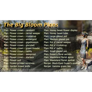 The Big Bloom Plans 26in1 bundle