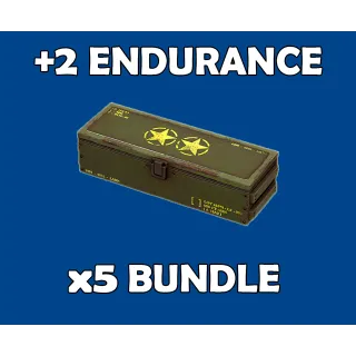 x5 Endurance Legendary Mod Bundle