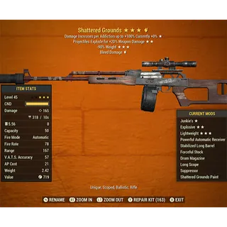 Shattered Grounds Handmade Rifle (Random Stars/Bleed Damage)