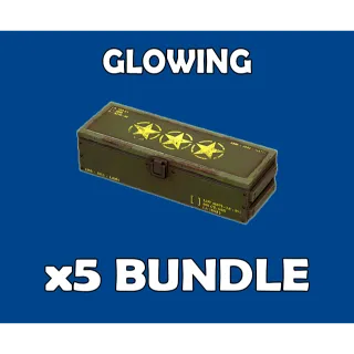x5 Glowing Legendary Mod Bundle