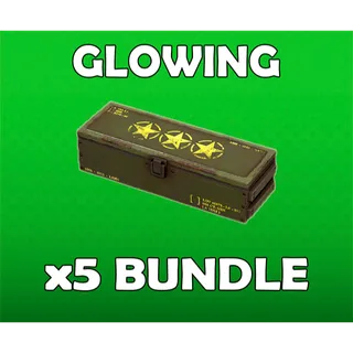x5 Glowing Legendary Mod Bundle