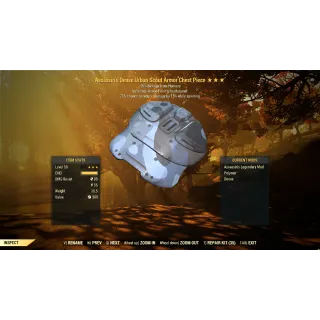 Assassin's Cavalier Scout Armor x5AP