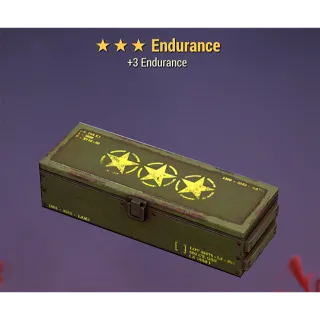 Endurance Legendary Mod