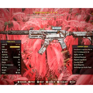Anchorage Ace 10mm Submachine Gun