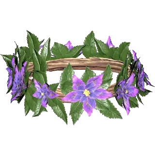 Flower crown - starlace Plan