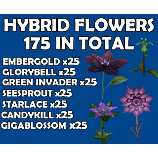Hybrid Flowers 7x25 (175 in total)