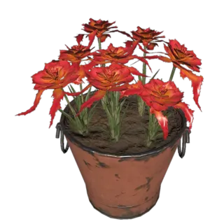 Pot o' carnal weeper Plan