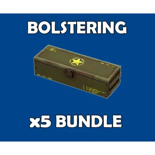 x5 Bolstering Legendary Mod Bundle