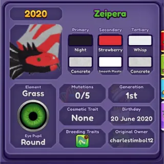 ZEIPERA 2020 COLLECTION