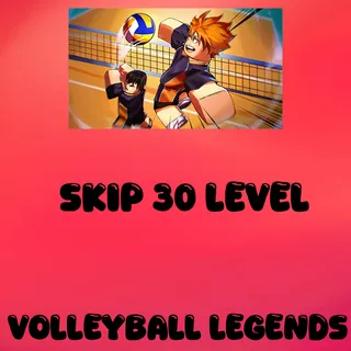 Volleyball Legend