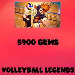 Volleyball Legend