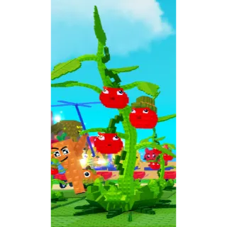 HUGE (5.3KG) TOMATRIO