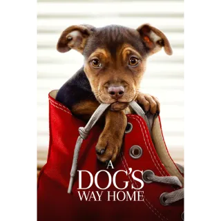 A Dog's Way Home HD Movies Anywhere Digital Movie Code USA