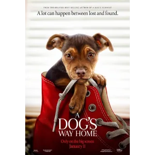 A Dog's Way Home Movies Anywhere USA Digital Movie code