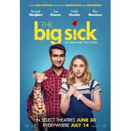 Big Sick iTunes HD USA Digital Movie Code (Does NOT Port to Movies Anywhere)