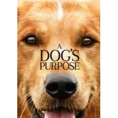 A Dog's Purpose iTunes HD Digital Movie Code USA  (Ports to Movies Anywhere) 