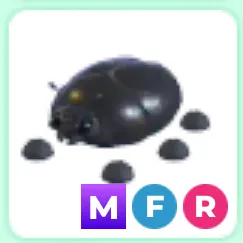 MFR Giant Black Scarab