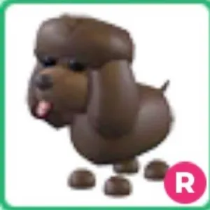 Irish Water Spaniel