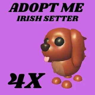 IRISH SETTER 4X - ADOPT ME 