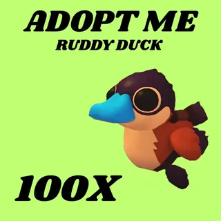 RUDDY DUCK 100X - ADOPT ME 