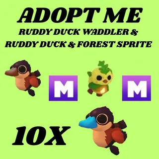 RUDDY DUCK WADDLER 10X AND RUDDY DUCK 1X MEGA AND FOREST SPRITE 1X MEGA  - ADOPT ME 