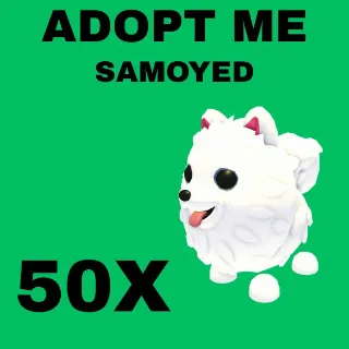 SAMOYED  50X - ADOPT ME 