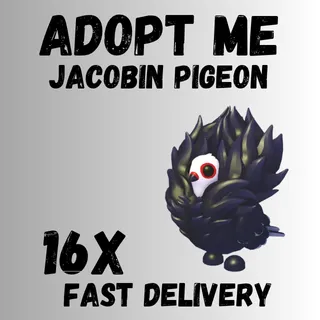 16X ACOBIN PIGEON ADOPT -  ME 