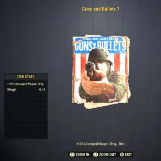 Guns & Bullets 7 (300)