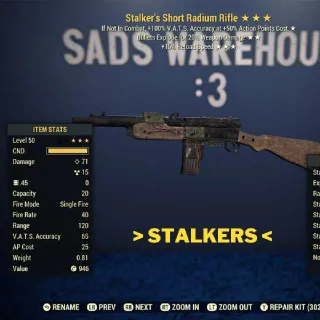 Weapon | SE15 Radium Rifle